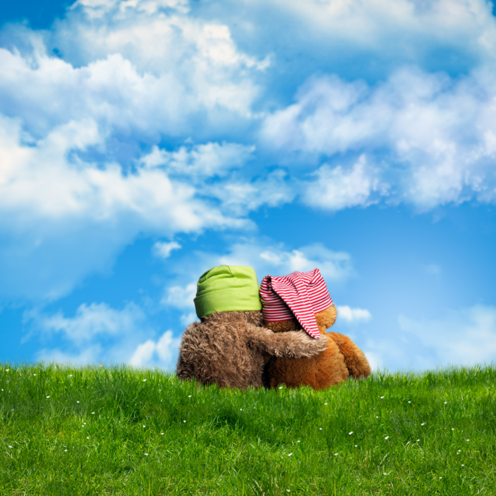 Cours de Compassion en français
Thom Bond
Deux ours en peluche de dons avec ciel bleu et nuage et herbe verte qui se donnent de l'empathie et du soutien